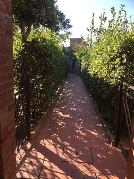 La Dogana Villa Siena Ngoại thất bức ảnh